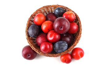 Plums isolated on plate