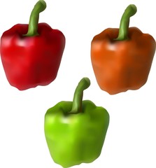 sweet pepper paprika of different colors red orange green vector drawing