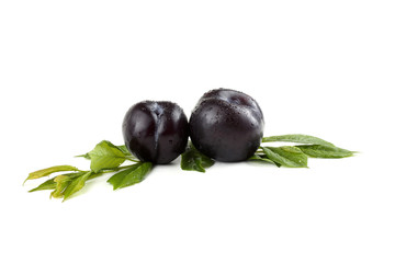 Plums and leaves