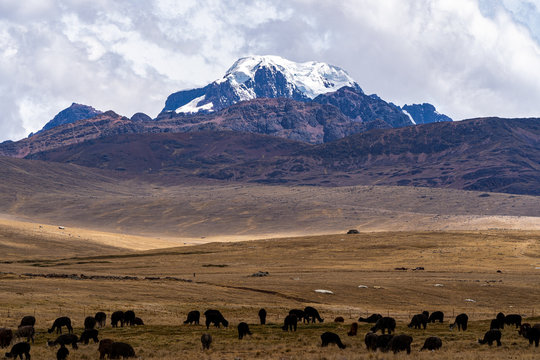 Andes Mountains Peru Highlands