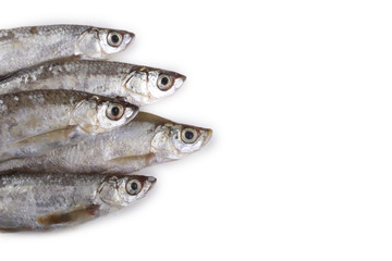 Little herring isolated on white