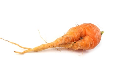 Funny ugly carrot