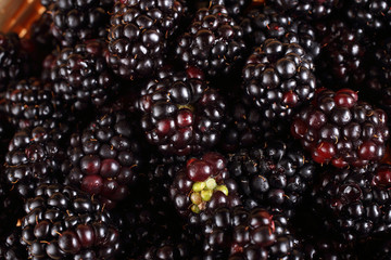 Blackberry background