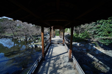 京都のお庭