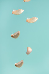 Garlic cloves falling on a light background. Isolate for design, freeze in motion.