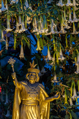 Ollantaytambo Statue and Tree