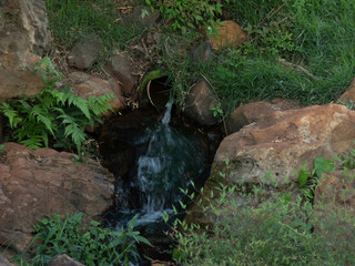 enjoying the day to photograph in japan park