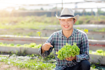 Young asian man farmer holding and showing fresh organic green oak lettuce and gesture pointing in farm, produce and cultivation for harvest agriculture vegetable with business, healthy food concept.