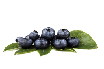 Blueberries on leaves