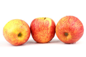 Gala apples