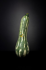 Isolated organically grown courgette vegetable with yellow and green pattern. Studio shot of Zucchini against dark background.