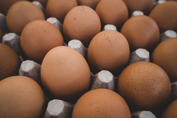 Carton of Brown Eggs
