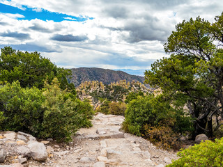 trail through bushes to view hoodoos