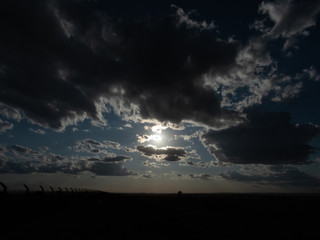 Obraz premium enjoying the sunny day to shoot