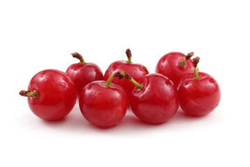Far eastern cherries (Nanking cherries)