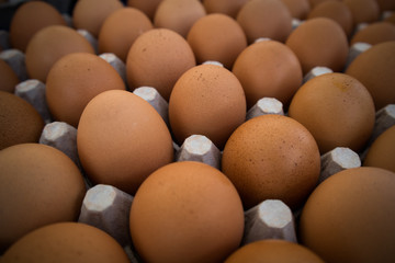 Carton of Brown Eggs