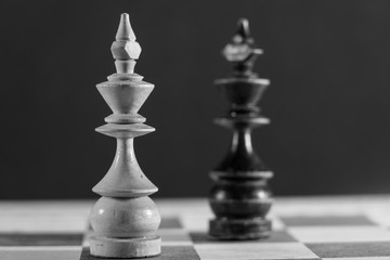 Image of Chess Pieces on Board for Game; black and white style