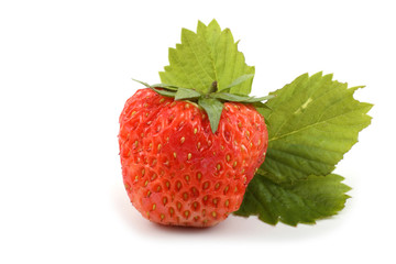 Strawberry and leaf