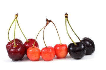 Red, pink and black cherries