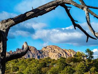 Mountain of rock framed by dead tree