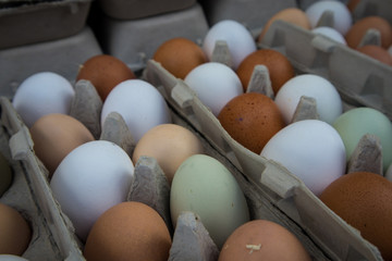 Carton of Multi-Colored Eggs