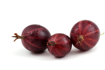 Black-violet gooseberry