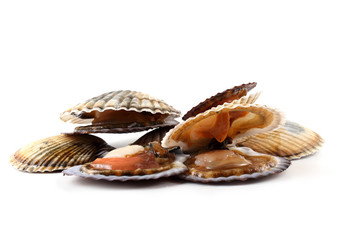 Opened and closed scallops