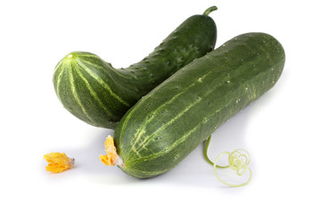 Cucumbers and tendril