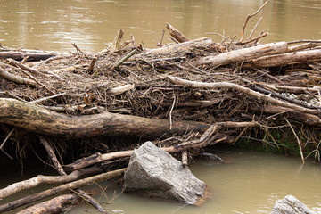 Natural dam made out of Branches and Rocks