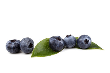 Blueberries on leaves