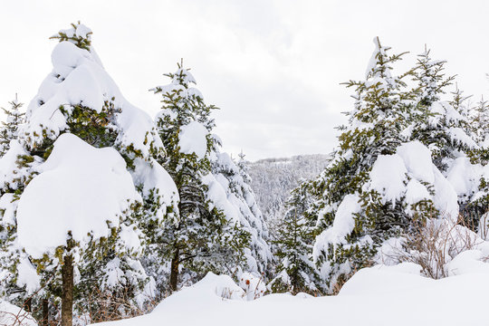 Windforse รูปภาพWindforce – เลือกดูภาพถ่ายสต็อก เวกเตอร์ และวิดีโอ101 | Adobe Stock