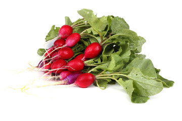 Radish