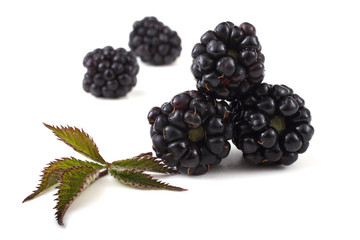 Blackberries and leaves