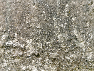 Old wall texture for backgrounds and wallpapers. Cement wall background