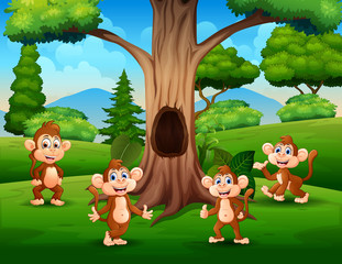 Obraz na płótnie Canvas Scene with group of monkey under the tree