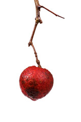 Lychee fruit. Far Eastern delicacy. Fruit is very popular in China.