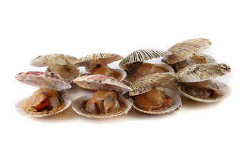 Opened scallops isolated on white