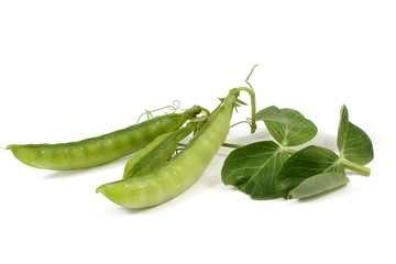 Pea pods and leaves