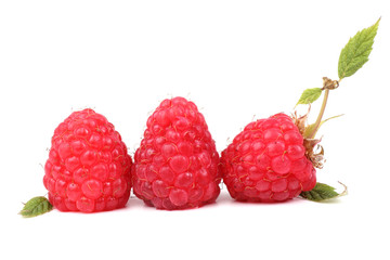 Three raspberries and leaves