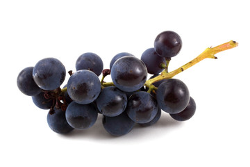 Black wine grape