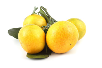 Cluster of mandarin oranges