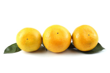 Three mandarin oranges