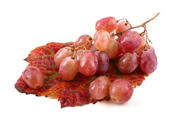 Grape on autumn leaf