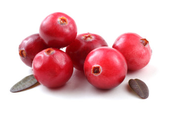 Cranberries and leaves