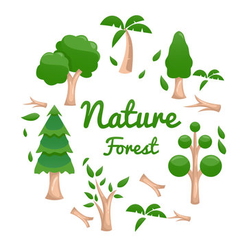 nature forest design vector collection
