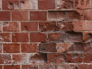 レンガの壁