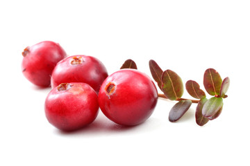 Cranberries with leaves