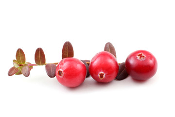 Cranberries with leaves