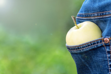 Apple. One Apple is in the pocket of a farmer's man against the background of greenery in the...