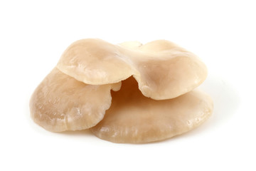 White oyster mushrooms